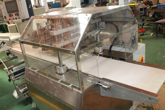 বালিশ ব্যাগ মাংস / ডাম্পলিং হিমায়িত খাদ্য প্যাকিং মেশিন