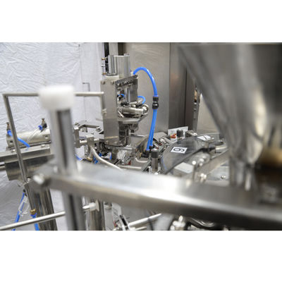 উল্লম্ব স্ট্যান্ড আপ ব্যাগ রোটারি ফ্রোজেন ফুড প্যাকিং মেশিন